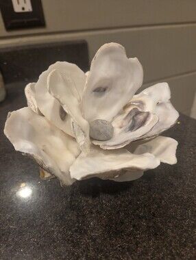 Handcrafted Oyster Shell Magnolia Flower